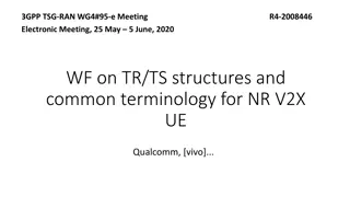 Structure and Terminology for NR V2X UE in Electronic Meeting