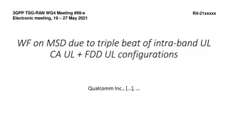 Triple Beat Distortion in 3GPP TSG-RAN Electronic Meeting