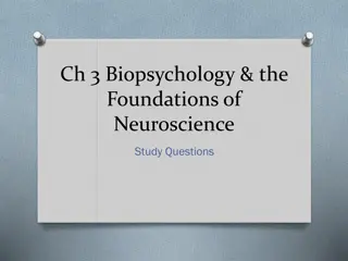 Biopsychology Study Questions and Foundations of Neuroscience Overview