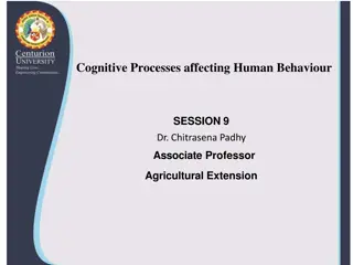 Cognitive Processes and Human Behavior