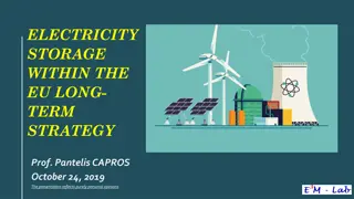 EU Long-Term Strategy for Electricity Storage and Carbon Neutrality by 2050
