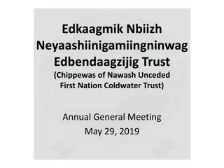 Edkaagmik Nbiizh Neyaashiinigamiingninwag Trust