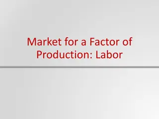 Labor Market Demand and Equilibrium Employment Insights