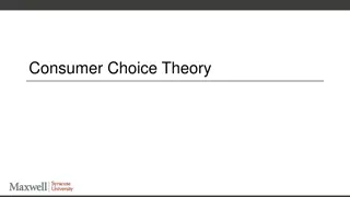 Consumer Choice Theory in Economics