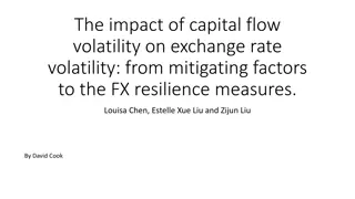 Exchange Rate Volatility and Capital Flow Dynamics