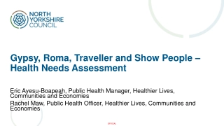 Gypsy, Roma, Traveller and Show People  –  Health Needs Assessment