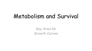 Microbial Growth Patterns and Metabolism
