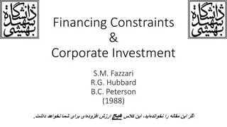 Corporate Investment and Financing Constraints Analysis