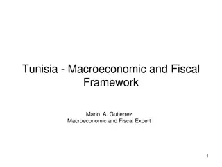 Macroeconomic Framework and Fiscal Policy in Tunisia