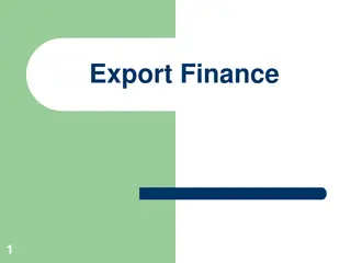 Export Finance and Credit Options