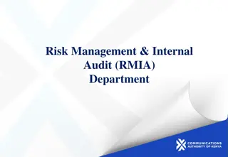 Risk Management & Internal Audit Department Structure