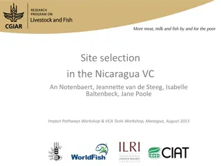 Site Selection Process for Impactful Research in Nicaragua VC