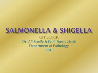 Salmonella Infections and Prevention Strategies