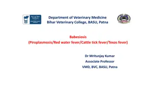 Veterinary Insights: Understanding Babesiosis in Domestic Animals