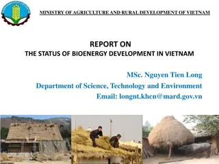 Bioenergy Development in Vietnam: Status, Agriculture, and Policies