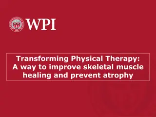 Enhancing Skeletal Muscle Healing Through Innovative Physical Therapy