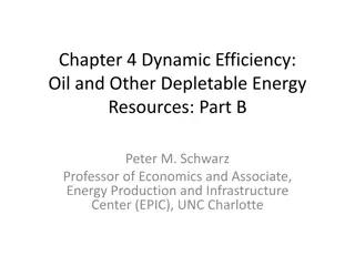 Dynamic Efficiency in Depletable Energy Resources