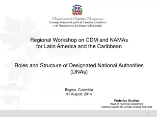 National Council for Climate Change and Clean Development Mechanism in Latin America and the Caribbean