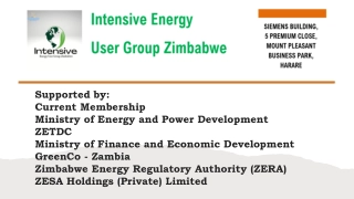 Intensive Energy User Group (IEUG) Operational Overview