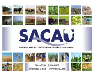 Insights on ACP Farmers' Achievements and Future Needs