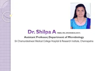Dr. Shilpa A, Assistant Professor - Professional Qualifications, Work Experience, and Research Publications