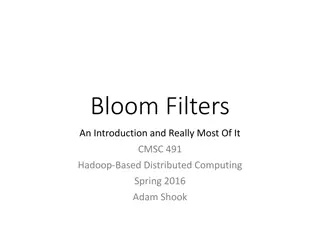 Unlocking the Magic of Bloom Filters and Set Data Structures