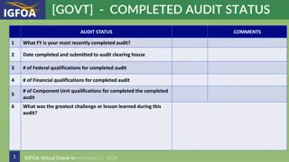 Government Audit Status and Challenges