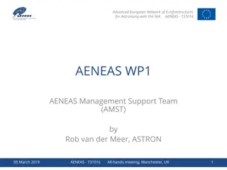 Advanced European Network of E-infrastructures for Astronomy with the SKA AENEAS Management Team Overview