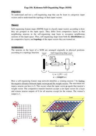 Kohonen Self-Organizing Maps for Categorizing Input Vectors