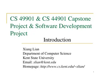 Capstone Project Guidelines for Software Development Teams