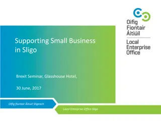 Strategies and Support for Small Businesses in Sligo Facing Brexit Challenges