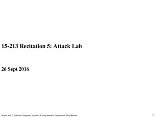 Stack Management in Computer Systems Programming