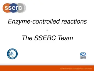 Enzyme-Controlled Reactions and Inhibitors