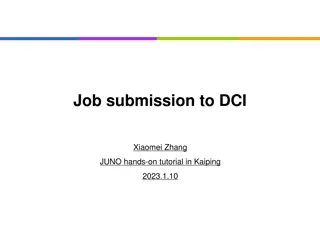 Job Submission Methods and Parameters in DIRAC Tutorial