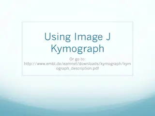 Advanced Tips for Using ImageJ Kymograph Tool