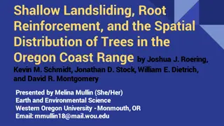 Tree Root Reinforcement Effect on Shallow Landsliding in Oregon Coast Range