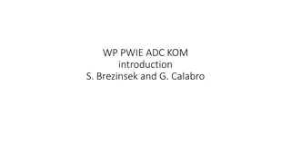 Plasma Modelling Activities for Advanced Divertor Concept Assessment