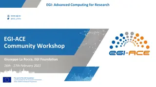 EGI-ACE Workshop: Advancing Computing for Research Communities