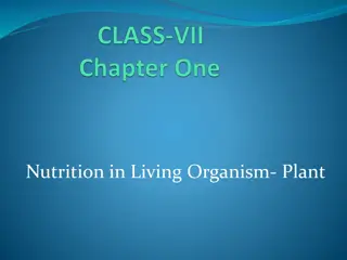 Plant Nutrition and Modes of Nutrition in Living Organisms