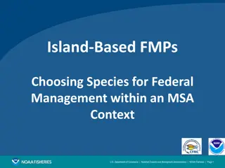 Choosing Species for Federal Management in U.S. Caribbean Context