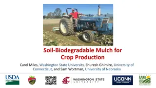 Sustainable Biodegradable Mulch for Crop Production