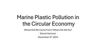 Marine Plastic Pollution in the Circular Economy: Challenges and Solutions