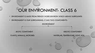Our Environment: Biotic and Abiotic Components Explained