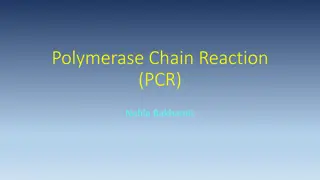 PCR: Applications, Requirements, and Properties