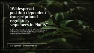Investigating Position-Dependent Transcriptional Regulatory Sequences in Plants