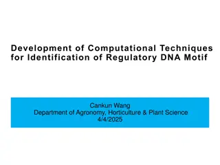 Computational Techniques for Regulatory DNA Motif Identification