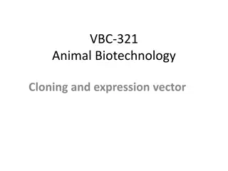 Cloning Vectors and Plasmids in Biotechnology