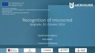 Developing Guidelines for Micro-Credentials in Higher Education