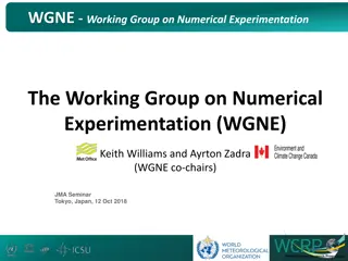 WGNE Working Group on Numerical Experimentation Activities Snapshot