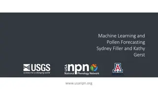 Pollen Forecasting and Machine Learning Insights